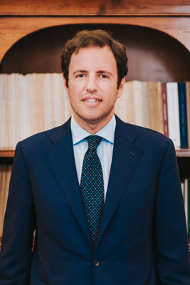 Mr. Claudio Vinci Lawyer
